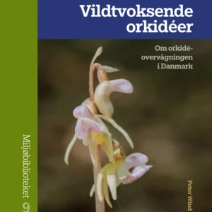 Vildtvoksende orkidéer