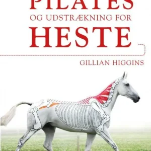 PILATES OG UDSTRÆKNING FOR HESTE