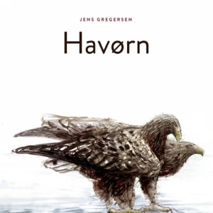 Havørn