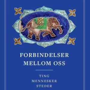Forbindelser mellom oss : ting, mennesker, steder