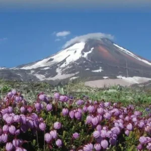 Kamchatka & Russia Far East