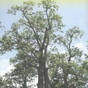 Malawi & Mozambique