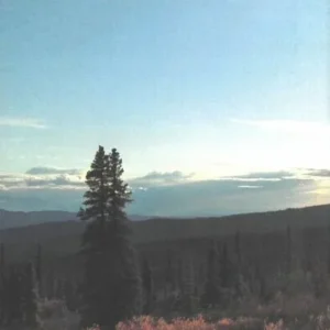Yukon & Northern BC