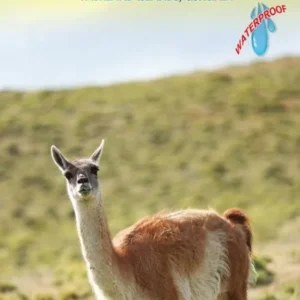 Patagonia Rail & Road