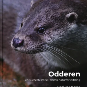 Odderen