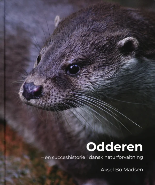 Odderen
