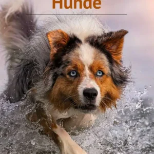 Hunde