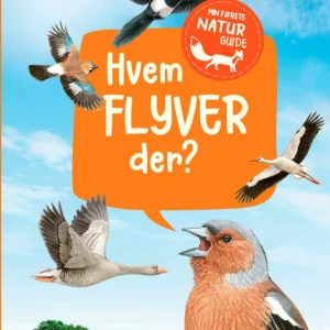 Hvem flyver der?
