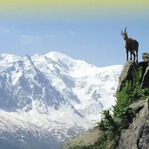 Mont Blanc & Alps