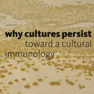 Why Cultures Persist