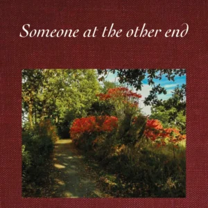 Someone at the other end