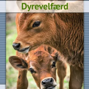 Dyrevelfærd