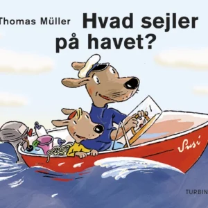 Hvad sejler på havet?