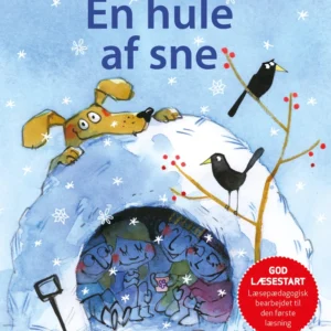 Carlsens Læsestart: En hule af sne