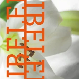 Bibelen på Hverdagsdansk, paperback, lilje