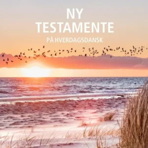 Ny Testamente - på hverdagsdansk, strand.