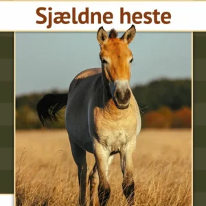 Sjældne heste