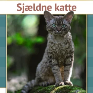 Sjældne katte