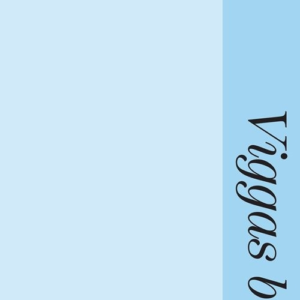Salsa - Viggas bog