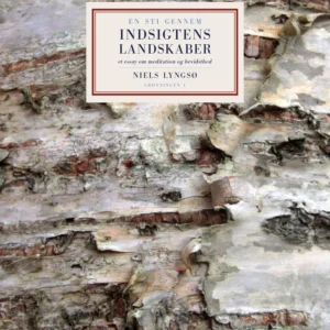 En sti gennem indsigtens landskaber