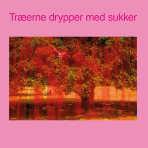 Træerne drypper med sukker