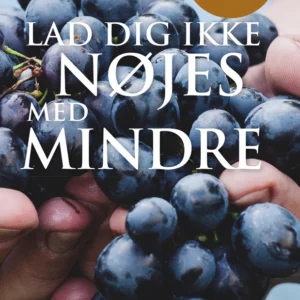 Lad dig ikke nøjes med mindre