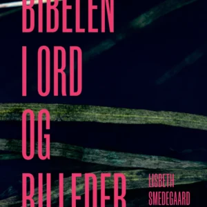 Bibelen i ord og billeder
