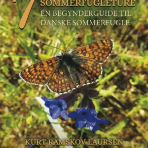 Syv Sommerfugleture
