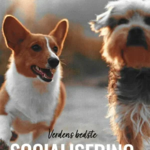 Verdens bedste socialisering