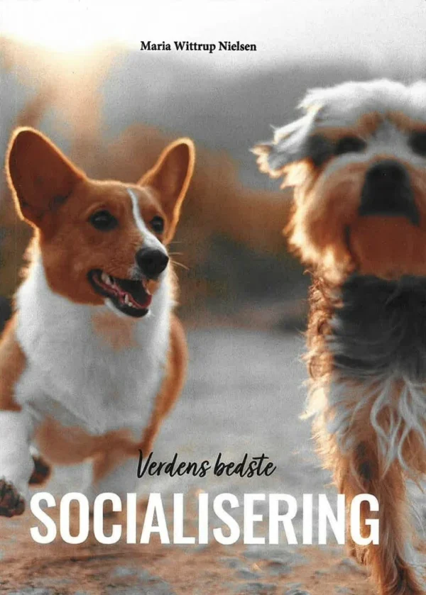 Verdens bedste socialisering