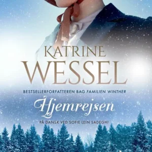 Hjemrejsen