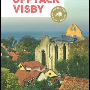 Upptäck Visby : din guide till Gotlands världsarv