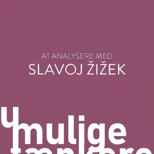 At analysere med Slavoj Zizek