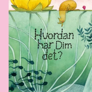 Hvordan har Dim det?