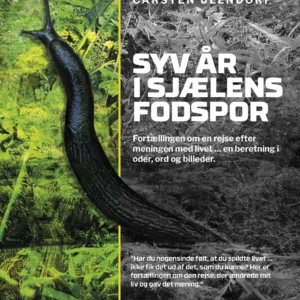Syv år i sjælens fodspor