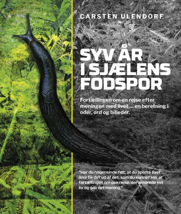 Syv år i sjælens fodspor
