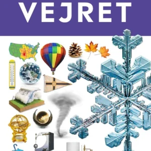 Vejret