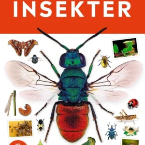 Insekter