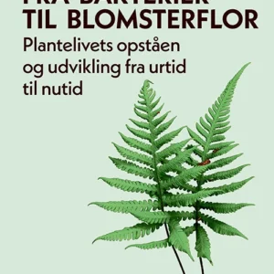 Fra bakterier til blomsterflor
