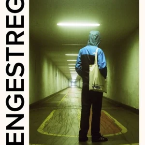 Drengestreger