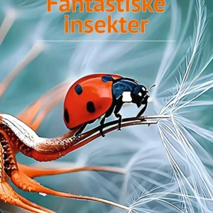 Fantastiske insekter