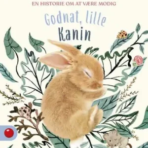 Godnat, lille Kanin