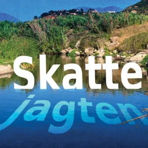 Skattejagten