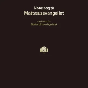Bibelnotesbog 1, Matthæusevangeliet