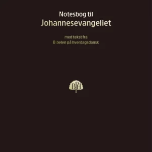 Bibelnotesbog 4, Johannesevangeliet