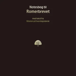Bibelnotesbog 6, Romerbrevet