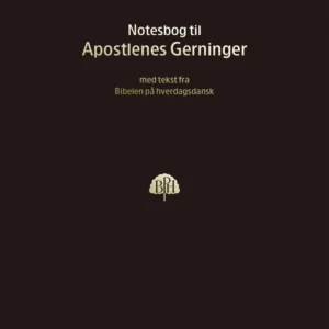 Bibelnotesbog 5, Apostlenes Gerninger