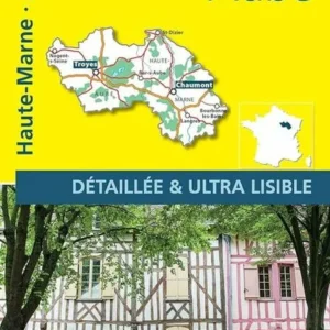 France blad 313: Aube, Haute Marne 1:150.000