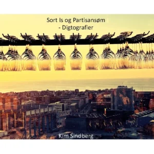Sort Is og Partisansøm