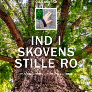 Ind i skovens stille ro